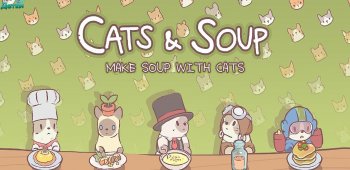 Cats and soup hacking 