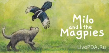 Milo and the Magpies