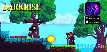 Darkrise - Pixel Action RPG 