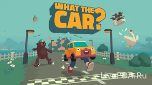 what-the-car-1