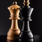 Логотип Шахматы