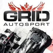 GRID Autosport (torrent + cache)