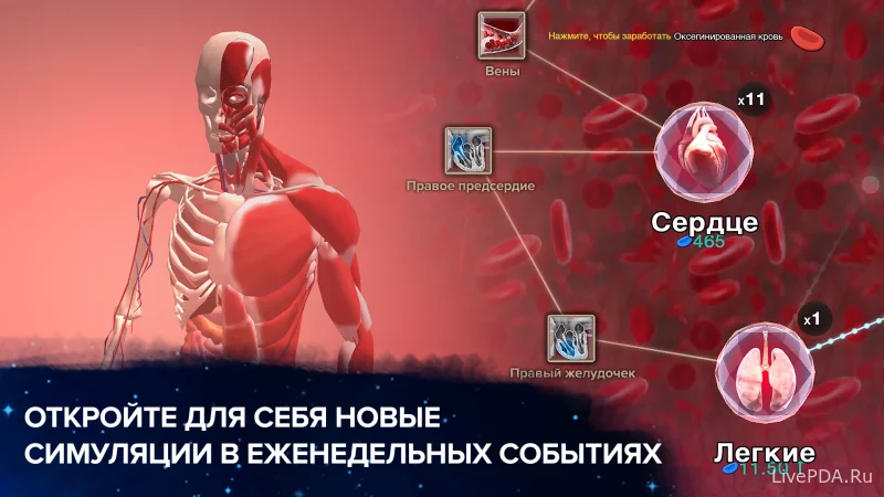 Скриншот для приложения Evolution never ends for Android №1