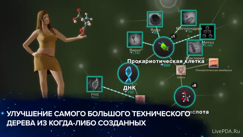 Скриншот для приложения Evolution never ends for Android №5