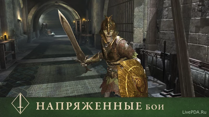 Скриншот для приложения The Elder Scrolls: Blades №5