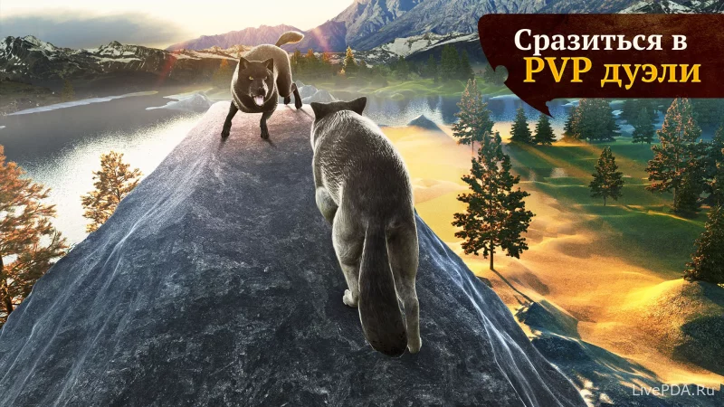 Скриншот для приложения The Wolf (hacking, full version) for Android №4