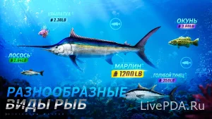 Screenshot #2 Fishing Master: a new fishing simulator on smartphones