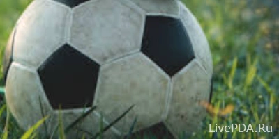 Как делать ставки на 1xbet новичкам