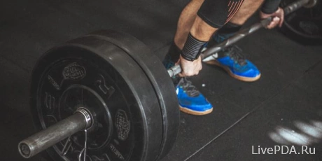 Top workout apps for smartphones